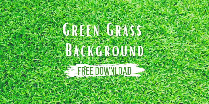 7 Free Grass Repeating Background Patterns for Photoshop