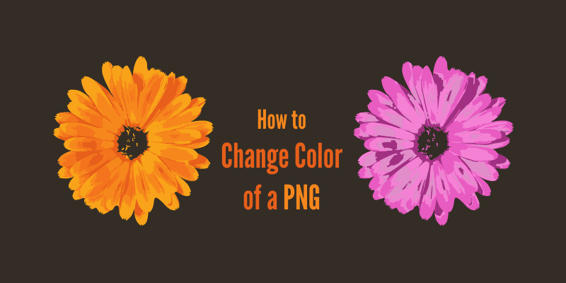 How To Change Color Of A PNG In Photoshop Detailed Guide 