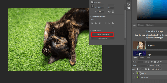 how to use magic wand tool to remove background