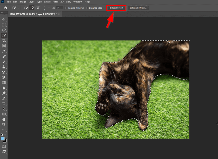 Image Background Removal: Cùng xóa bỏ nền của một bức ảnh và nâng cao chất lượng của nó. Để thấy cách loại bỏ nền trong ảnh, hãy xem hình ảnh sau.